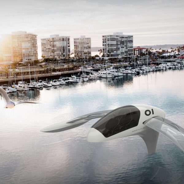 190123_Trophy Daphinia_02_square